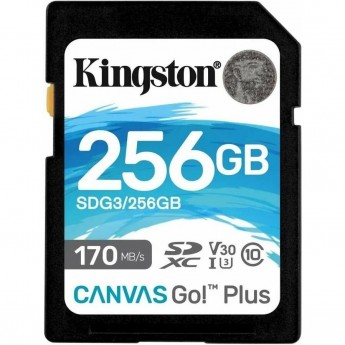 Карта памяти KINGSTON 256GB SDG3-256GB